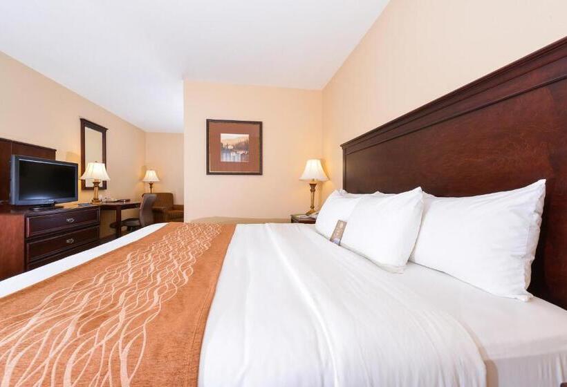 Стандартный Номер Кровать Кинг, Comfort Inn & Suites Mcminnville Wine Country
