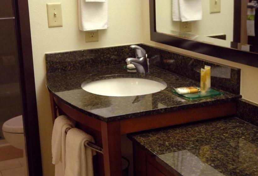 اتاق استاندارد با تخت بزرگ, Hyatt Place Reno/tahoe Airport
