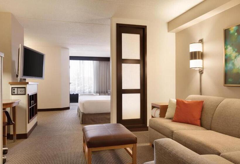 اتاق استاندارد با تخت بزرگ, Hyatt Place Reno/tahoe Airport