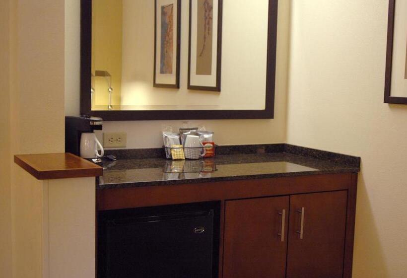 اتاق استاندارد برای معلولان, Hyatt Place Reno/tahoe Airport