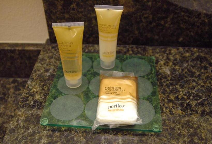 اتاق استاندارد برای معلولان, Hyatt Place Reno/tahoe Airport
