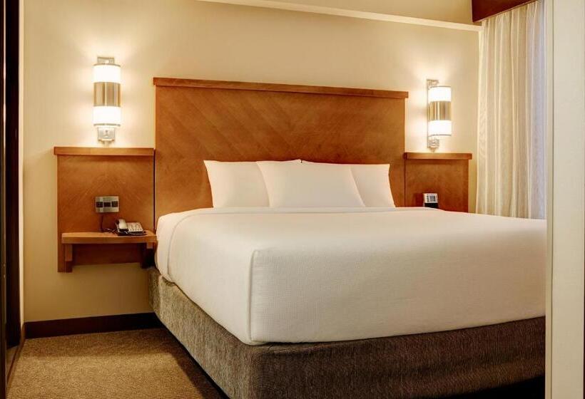 اتاق استاندارد برای معلولان, Hyatt Place Reno/tahoe Airport