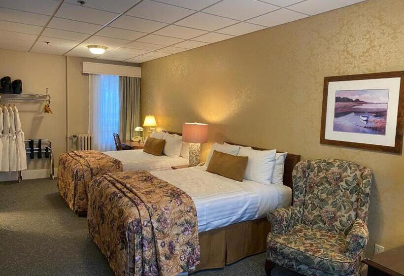 اتاق استاندارد با 2 تخت دوبل, Kingston
