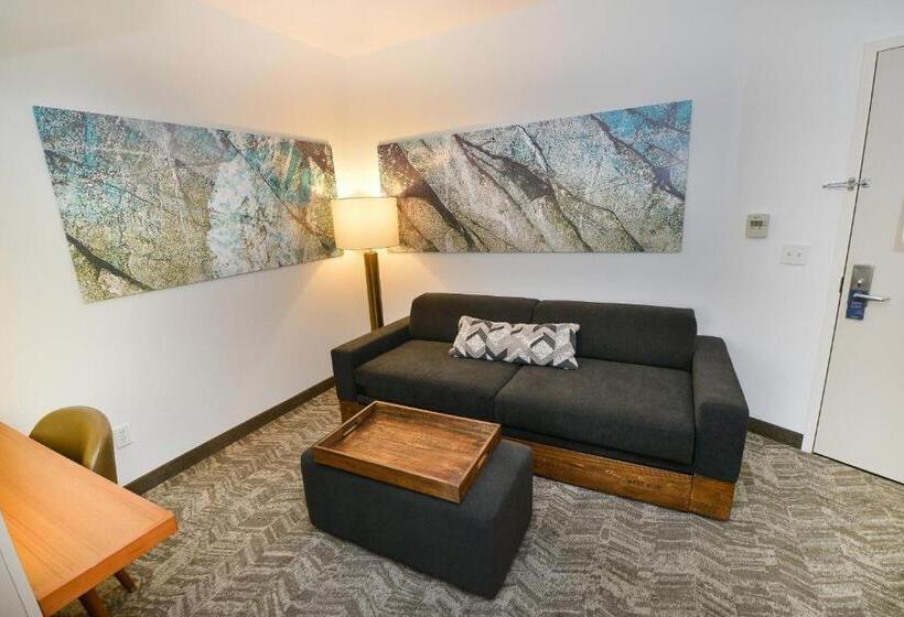 Студия Стандарт, Springhill Suites By Marriott Grand Forks