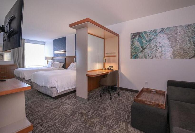 Студия Стандарт, Springhill Suites By Marriott Grand Forks