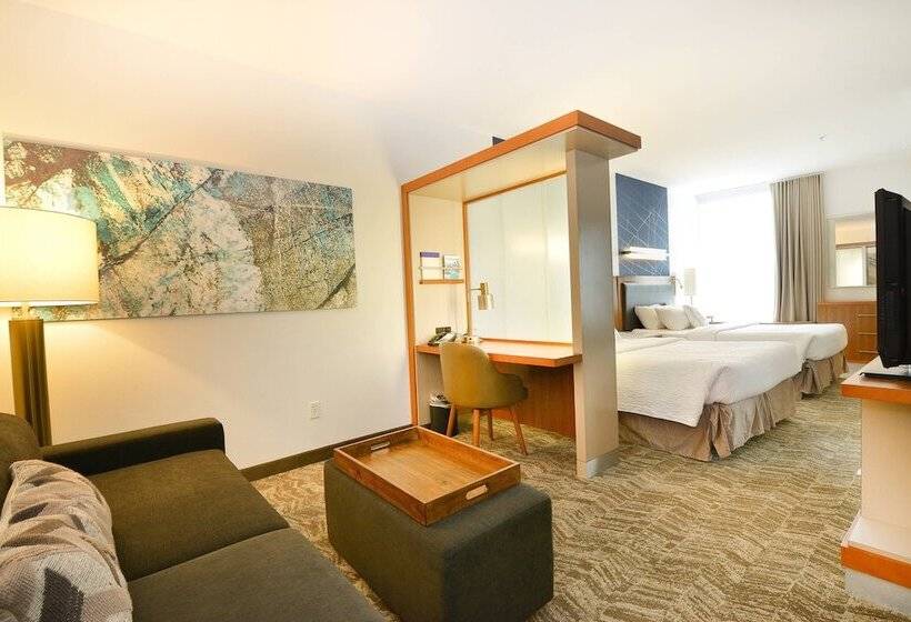 Студия Стандарт, Springhill Suites By Marriott Grand Forks