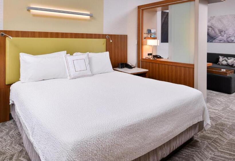 Студио Стандарт Кровать Кинг, Springhill Suites Irvine John Wayne Airport/orange County