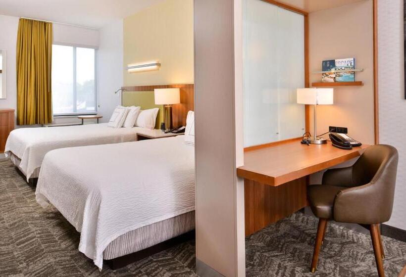 Студия Стандарт, Springhill Suites Irvine John Wayne Airport/orange County