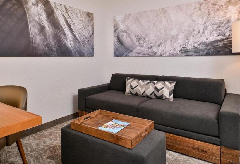 Студия Стандарт, Springhill Suites Irvine John Wayne Airport/orange County