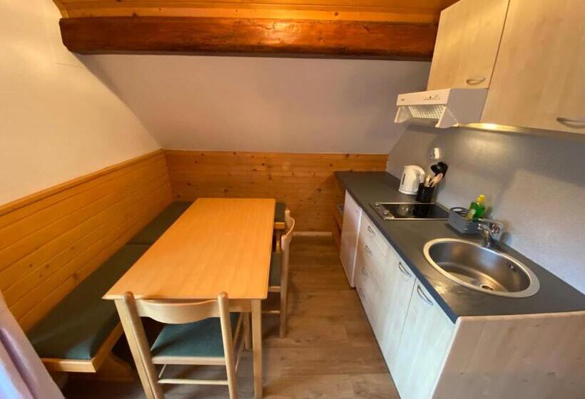 استودیو استاندارد با چشم‌انداز, Hiša Planšar Bohinj Accommodations