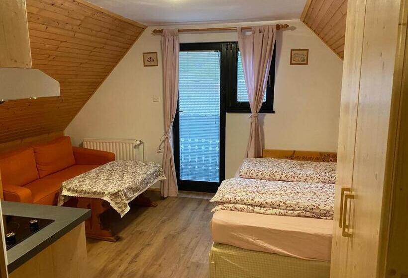 استودیو استاندارد با بالکن, Hiša Planšar Bohinj Accommodations
