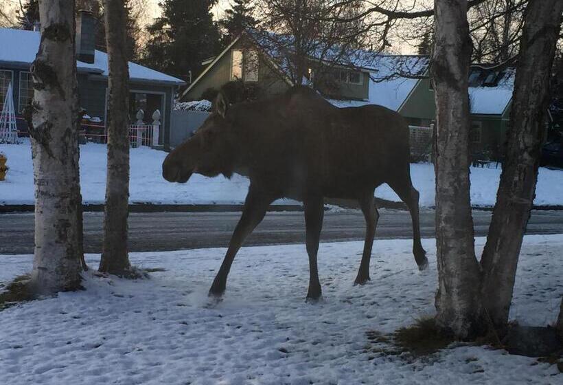 آپارتمان 1 خوابه, Turnagain Guest House