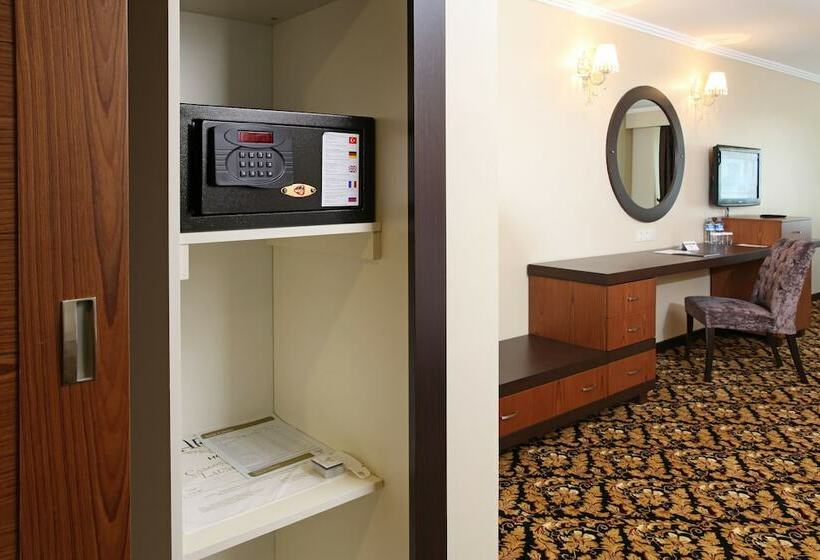 اتاق استاندارد یک نفره, Arya Hotel Sakarya