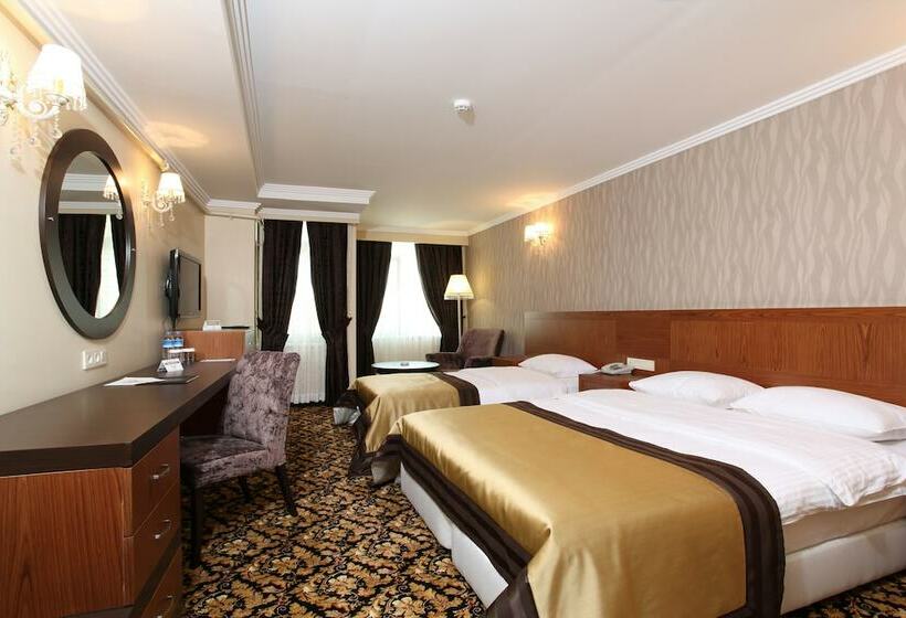 اتاق استاندارد یک نفره, Arya Hotel Sakarya