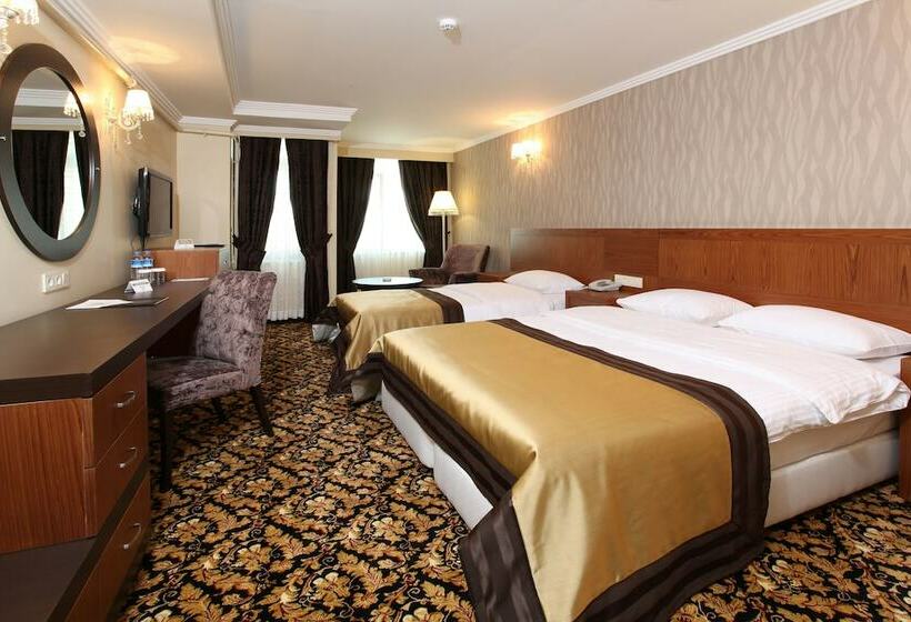 اتاق استاندارد, Arya Hotel Sakarya