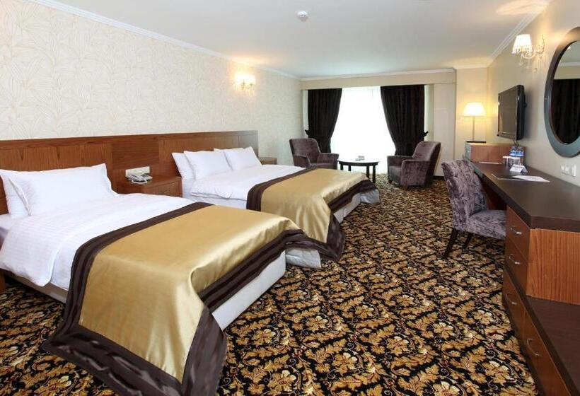 سوییت, Arya Hotel Sakarya