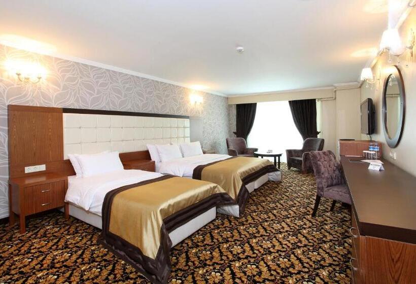 سوییت, Arya Hotel Sakarya