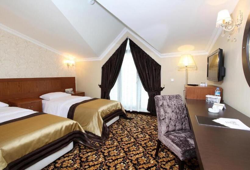 اتاق استاندارد یک نفره, Arya Hotel Sakarya