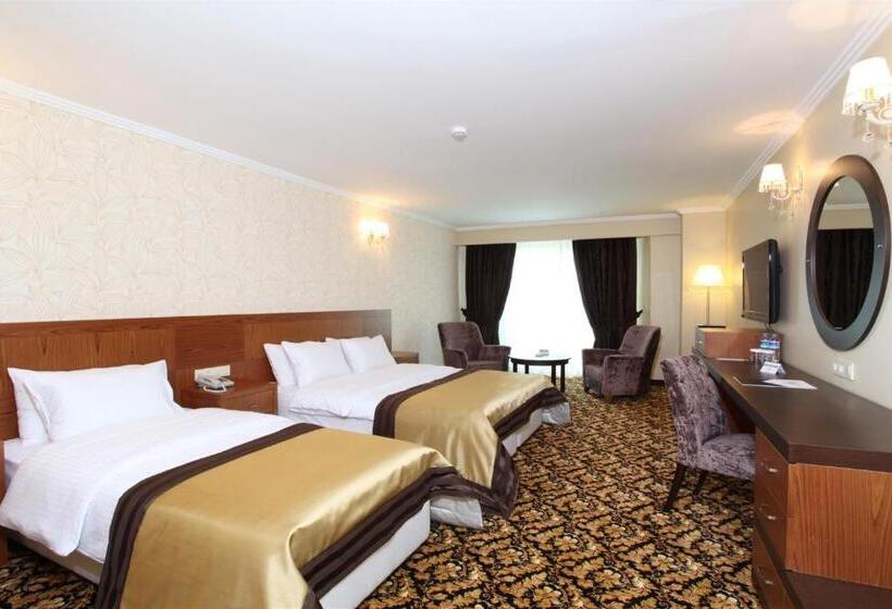 اتاق لوکس یک تخته, Arya Hotel Sakarya