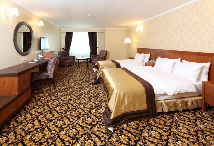 اتاق لوکس یک تخته, Arya Hotel Sakarya