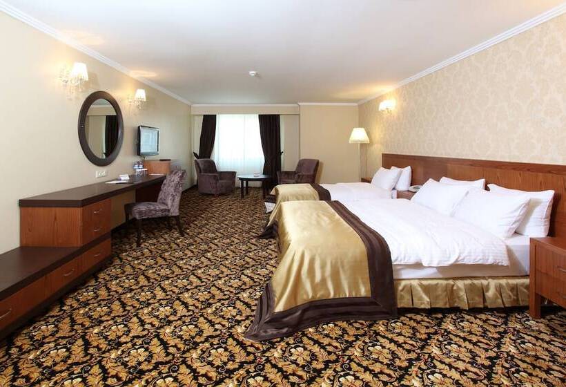 اتاق لوکس یک تخته, Arya Hotel Sakarya