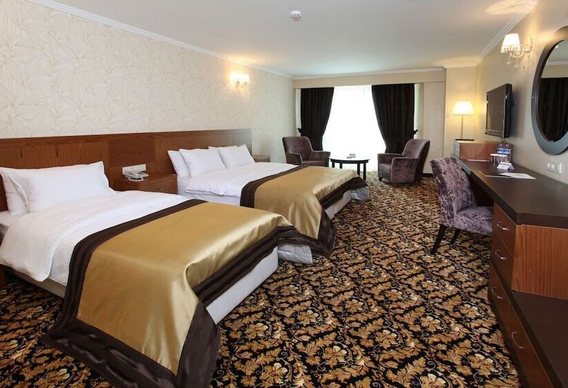 سوییت, Arya Hotel Sakarya