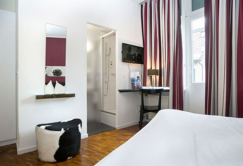 اتاق استاندارد یک نفره, Hottingen