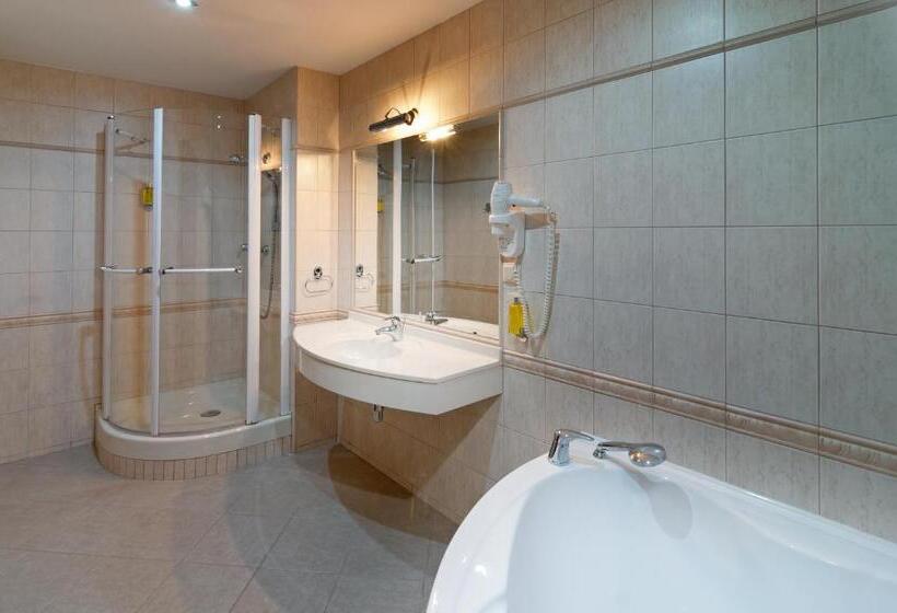 اتاق لوکس خانوادگی, Wellness Hotel Windsor