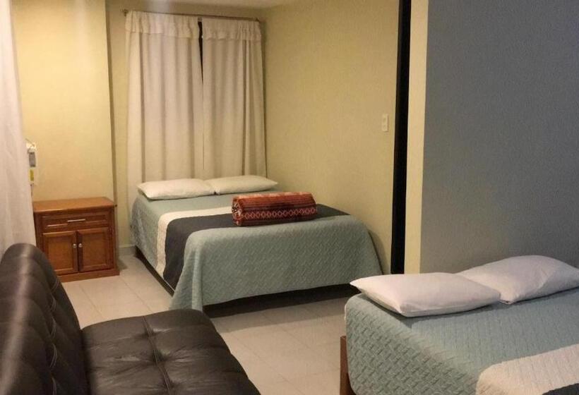 غرفة سوبيريور عائلية, Roof Top Hotel Xilitla