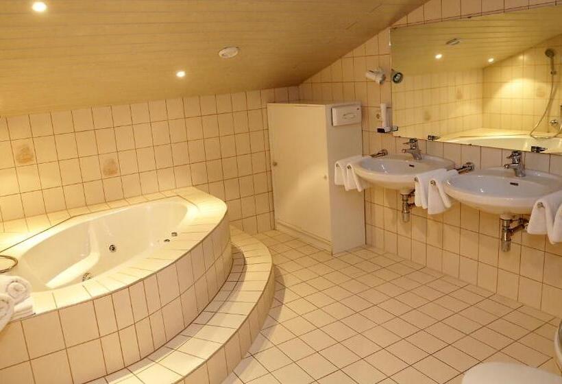 Апартаменты Comfort 3 Спальни, Berghotel Hois