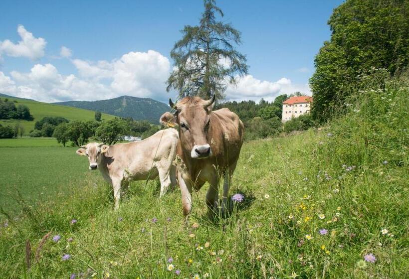 Апартаменты 1 Спальня, Landsitz Pichlschloss