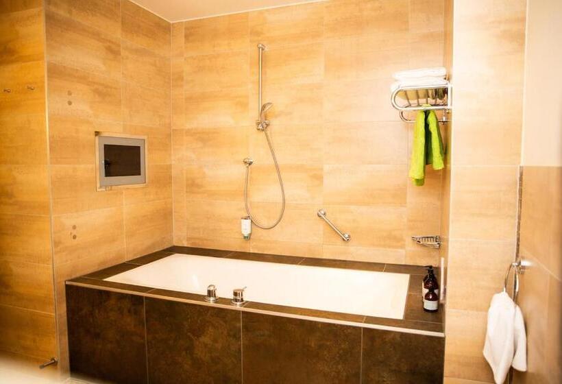 اتاق استاندارد با بالکن, Seehotel Süd