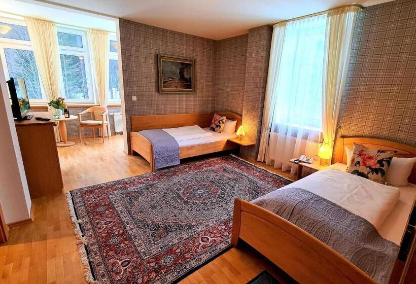 Номер Стандарт, Ferien Residenz Thüringer Wald