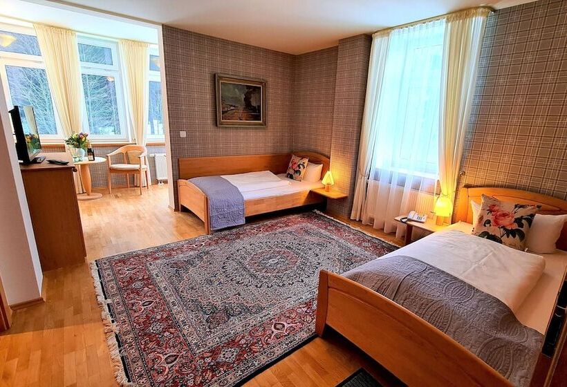 Номер Стандарт, Ferien Residenz Thüringer Wald