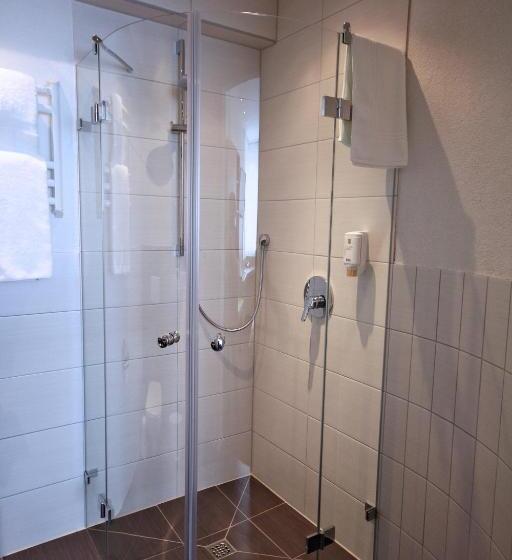 Номер Premium с Балконом, Go2bed Weil Am Rhein   Basel