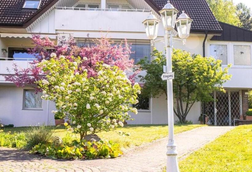 Студио Стандарт с Террасой, Haus Am Steinberg