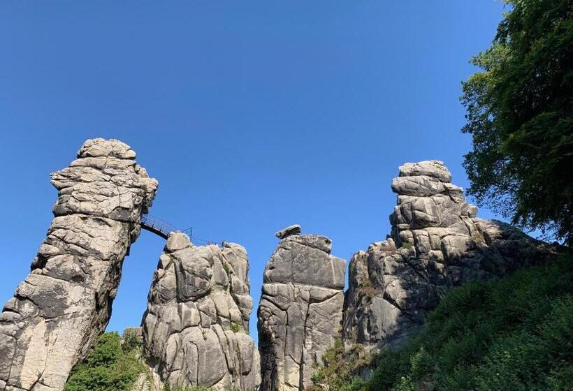 Номер Стандарт, Teutonia