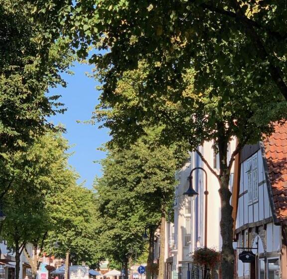 Номер Стандарт, Teutonia