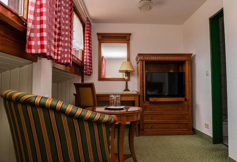 Номер Стандарт, Alpenhotel Gastager