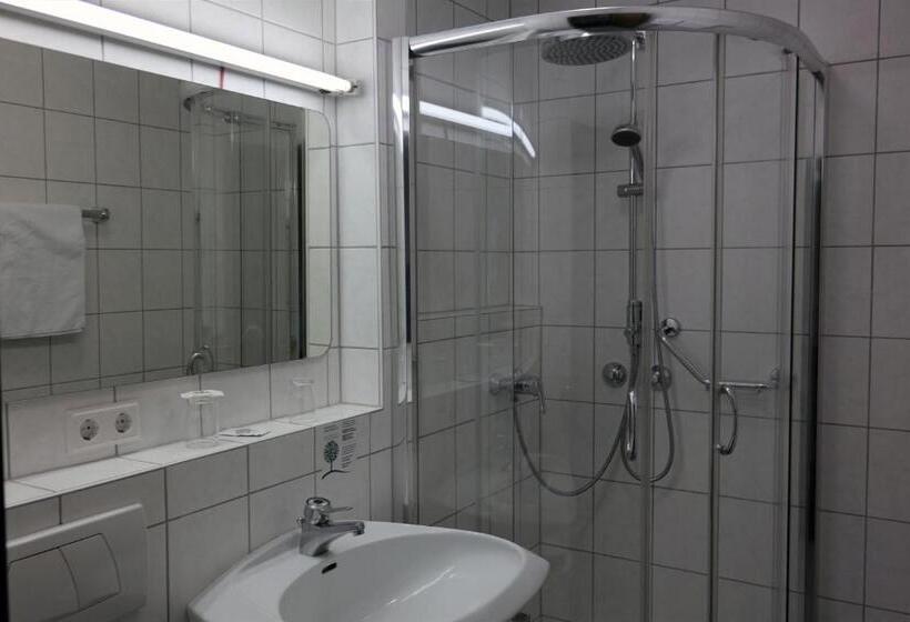 Номер Стандарт с Террасой, Alpenhotel Gastager