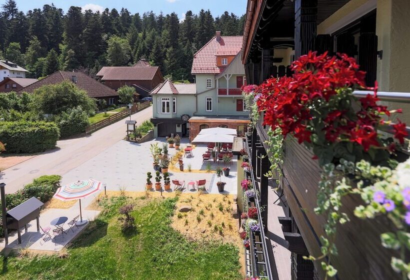 Номер Стандарт, Das Hohenried