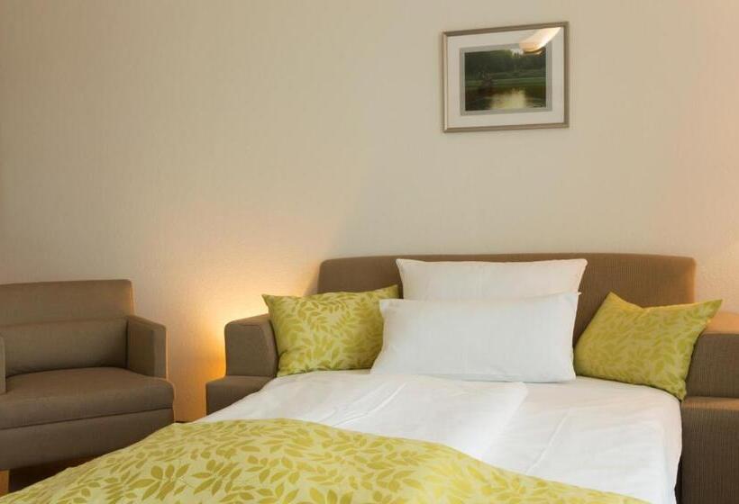 Трехместный Номер Deluxe, Mingarden