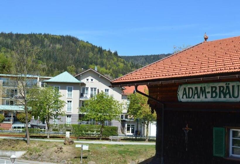 Номер Стандарт Индивидуальный, Wander  Und Aktivhotel Adam Bräu