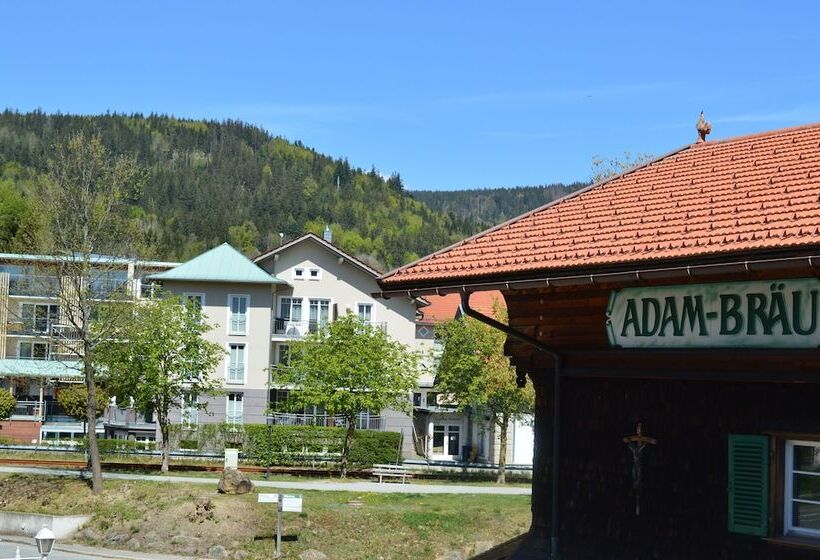 Номер Стандарт, Wander  Und Aktivhotel Adam Bräu
