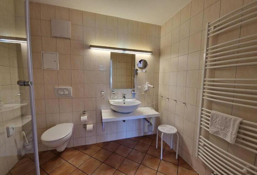 Номер Стандарт, Garni Hotel Zum Hothertor