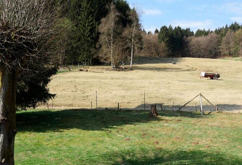 Номер Стандарт с Балконом, Waldschlösschen Brotterode