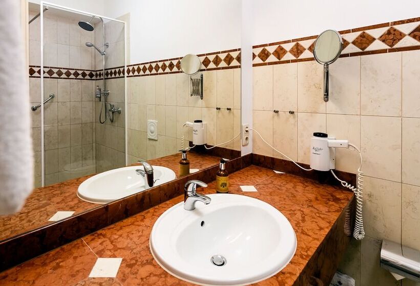 Полулюкс, Steiger Hotel Sebnitzer Hof