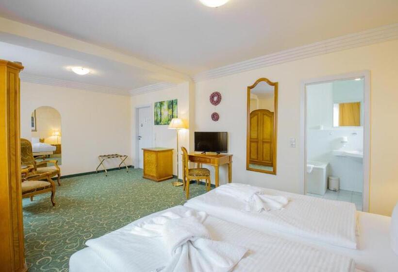 Номер Стандарт, Erzgebirgshotel Freiberger Höhe