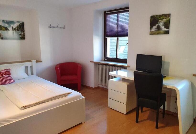 Номер Economy Индивидуальный, Gasthof Hotel Zum Rebstock