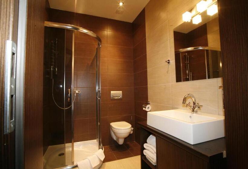 Номер Deluxe Одноместный, Boutique Hotel S I Milionowa